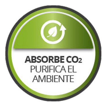 Pintura fotocatalítica Ambientpro+ Premium 4 | Potspintura.com