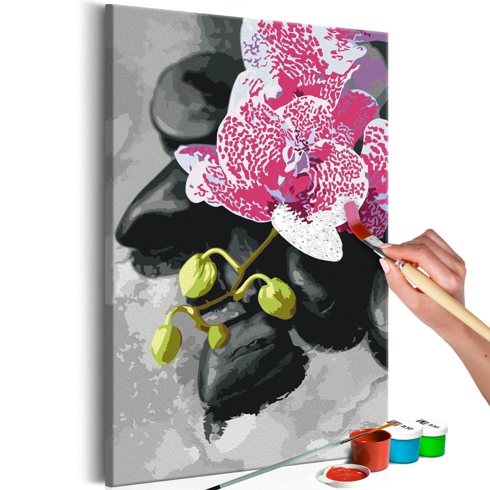 Cuadro para colorear - Orquídea rosa 1 | Potspintura.com