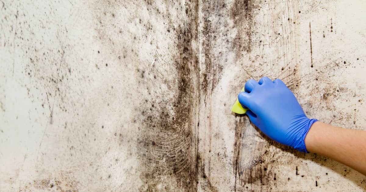 Cómo limpiar manchas de humedad de las paredes incluso si ya llevan tiempo
